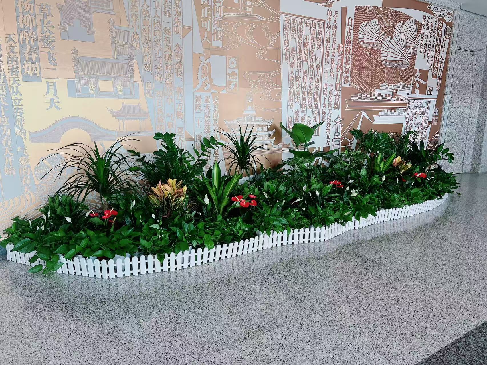 鄞州花木租摆哪家好